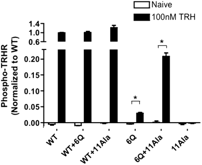 Fig. 10.