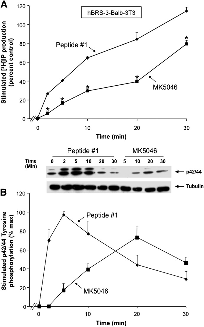 Fig. 12.