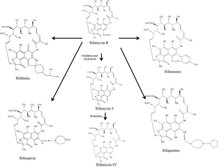 Fig. 2