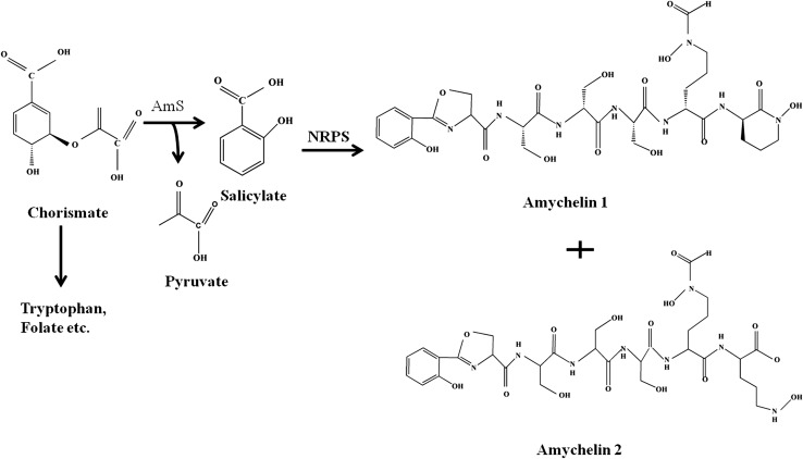 Fig. 4