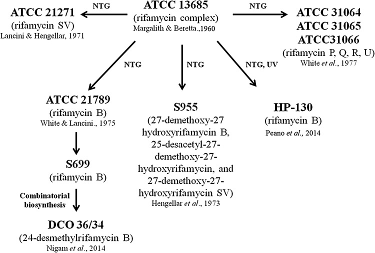 Fig. 1