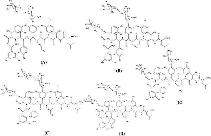 Fig. 5