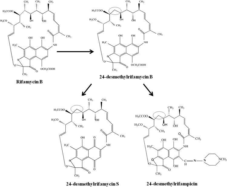 Fig. 3