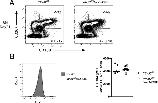 Figure 2—figure supplement 1.