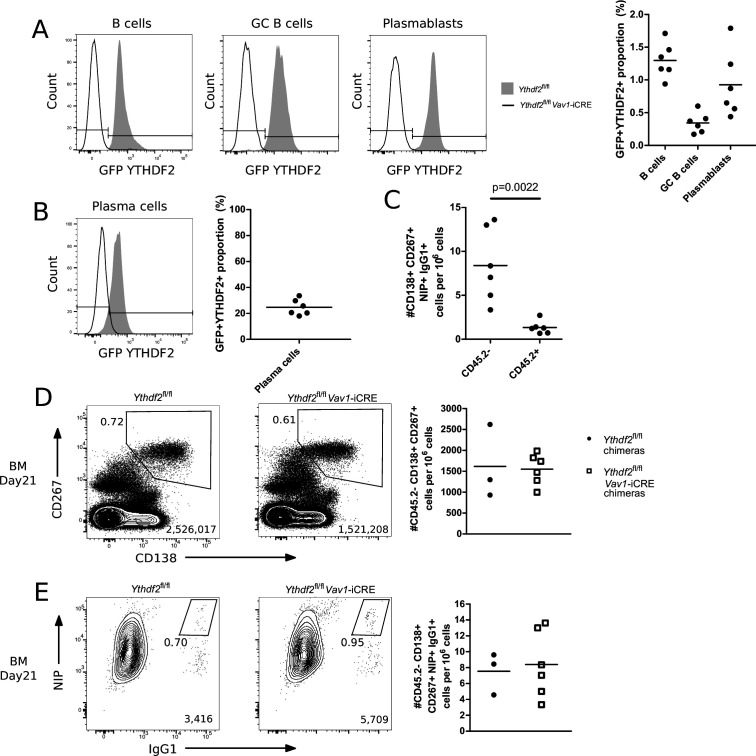 Figure 3—figure supplement 1.