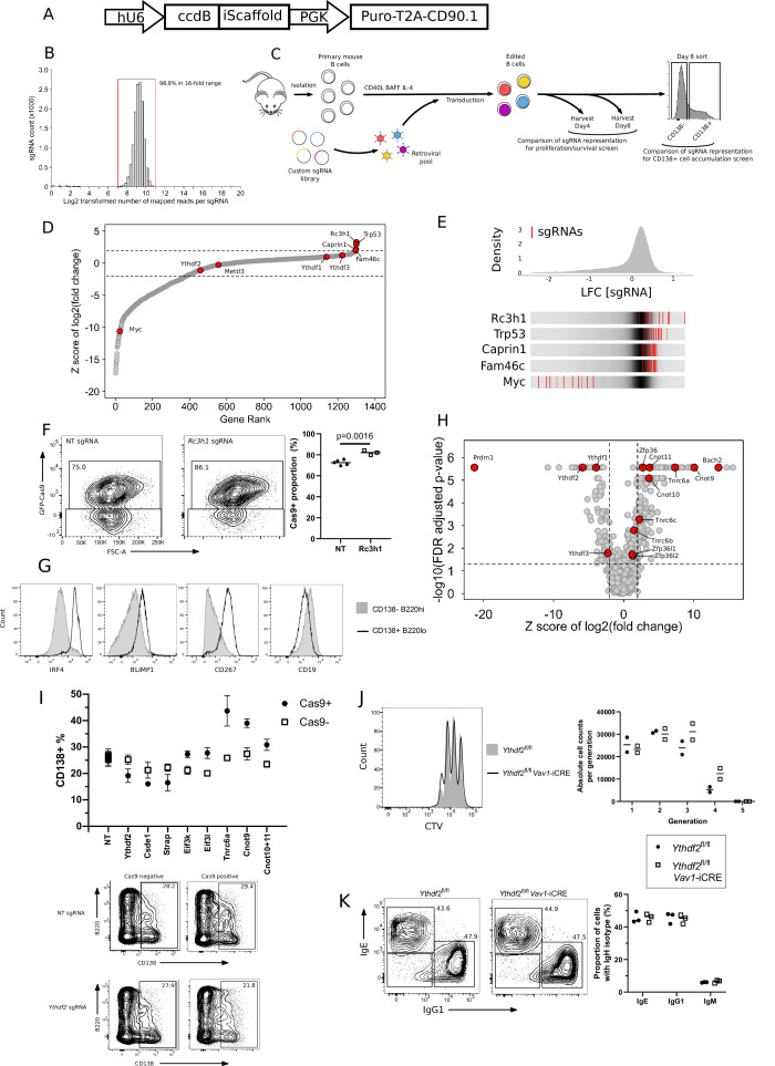 Figure 1—figure supplement 1.