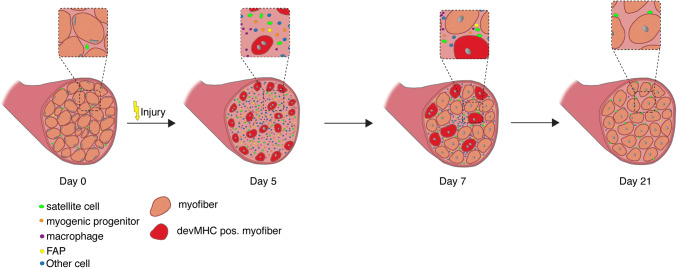 Fig. 2