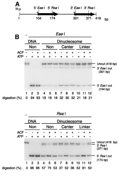 graphic file with name cde186f5.jpg