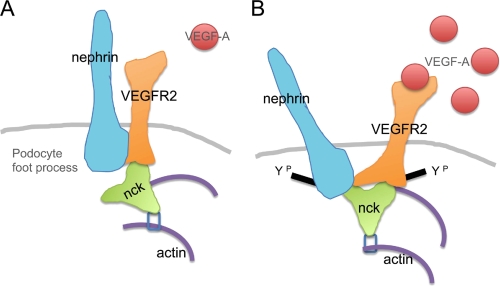 FIGURE 9.