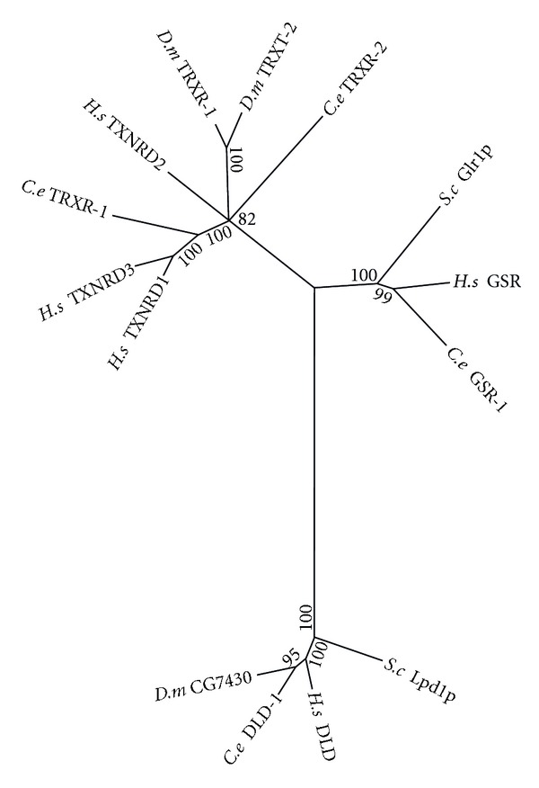 Figure 6