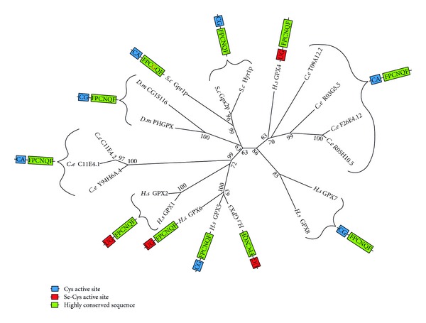 Figure 11