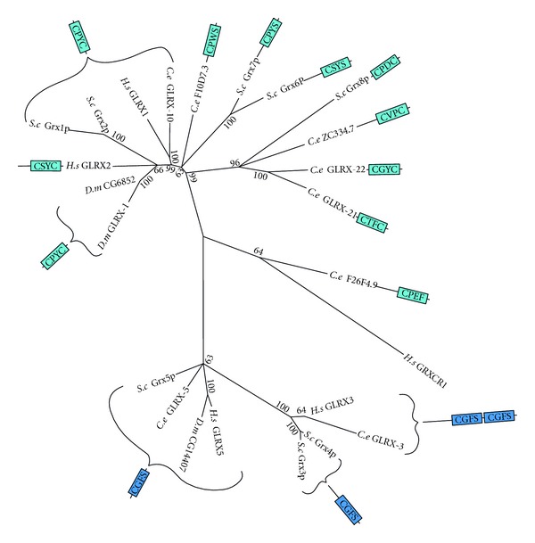 Figure 7