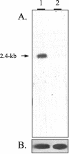FIG. 1.