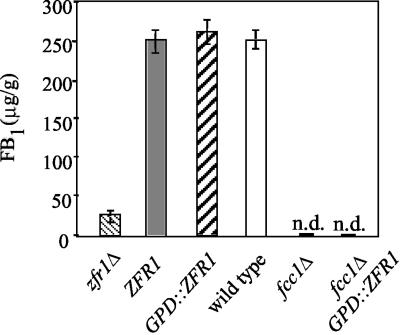 FIG. 6.