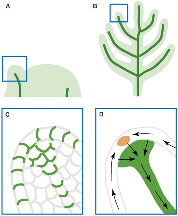 FIGURE 4