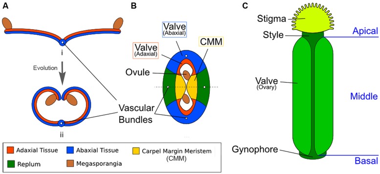 FIGURE 1