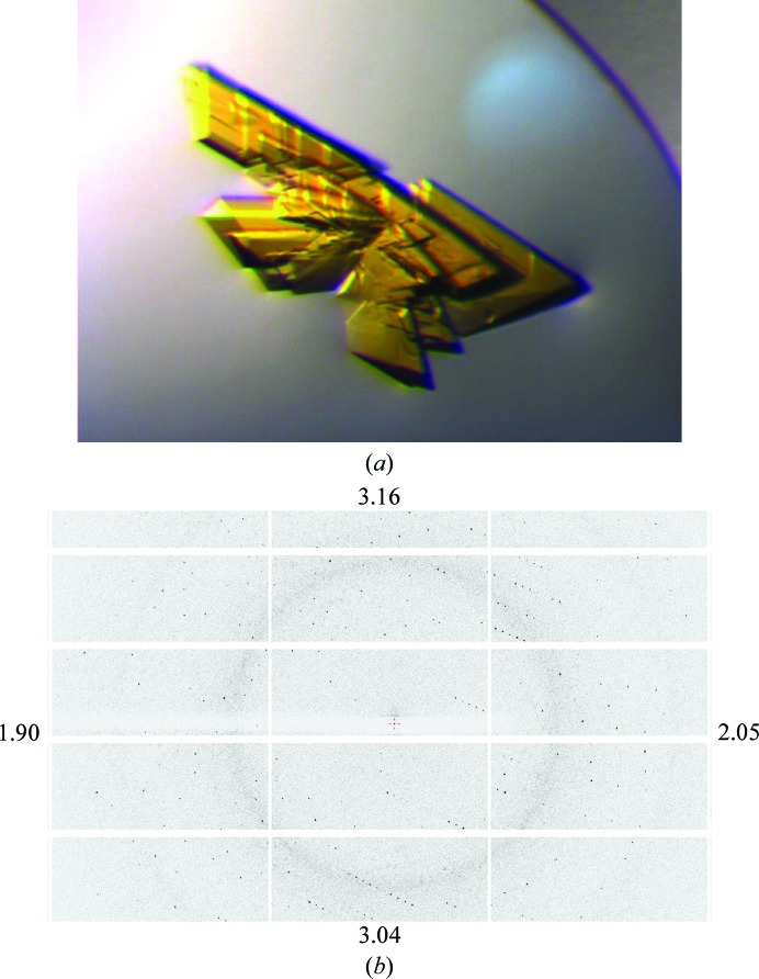 Figure 2