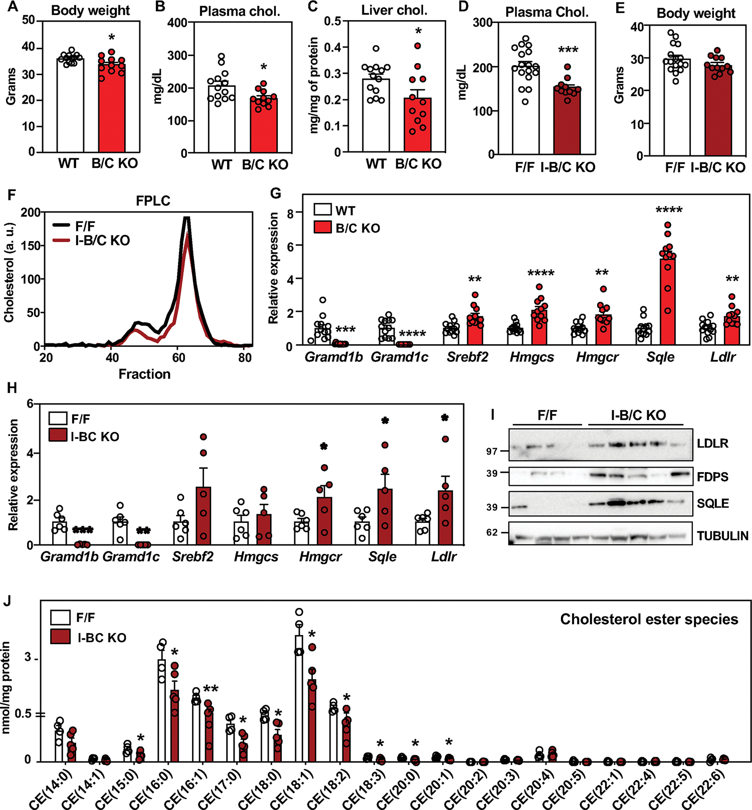 Fig. 4: