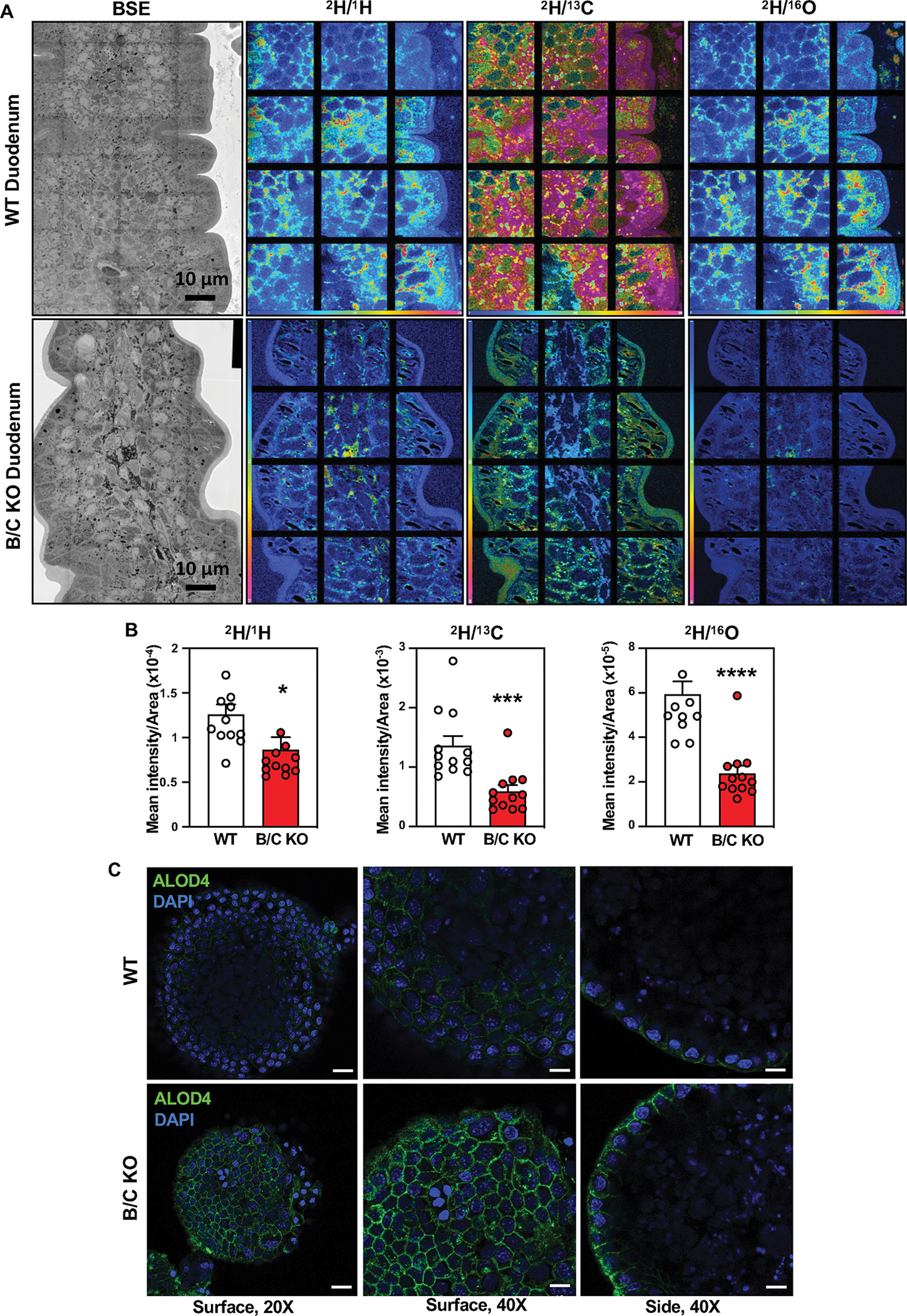 Fig. 2: