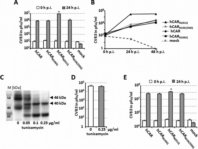 FIG 3