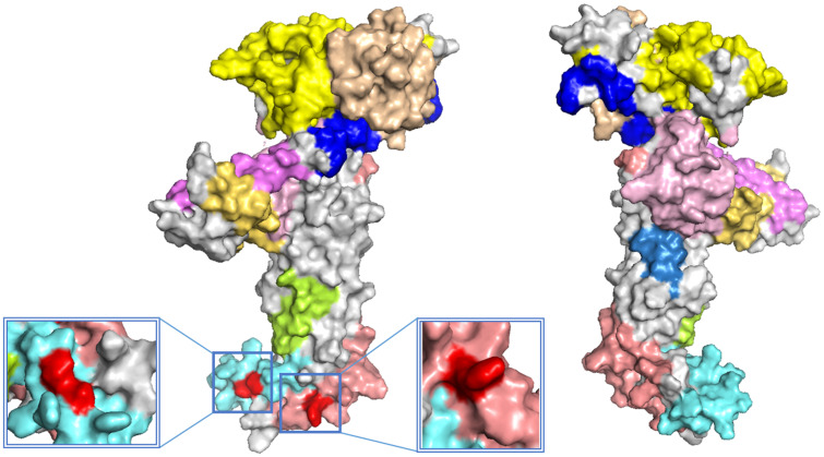 Figure 5.