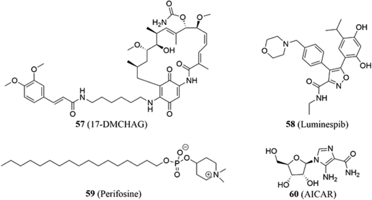 Fig. 11