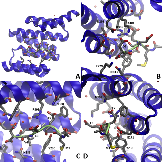 Fig. 9