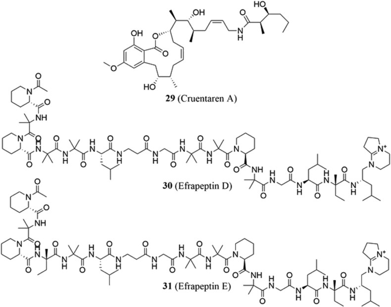 Fig. 6