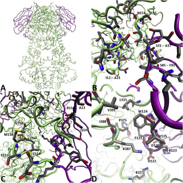 Fig. 12