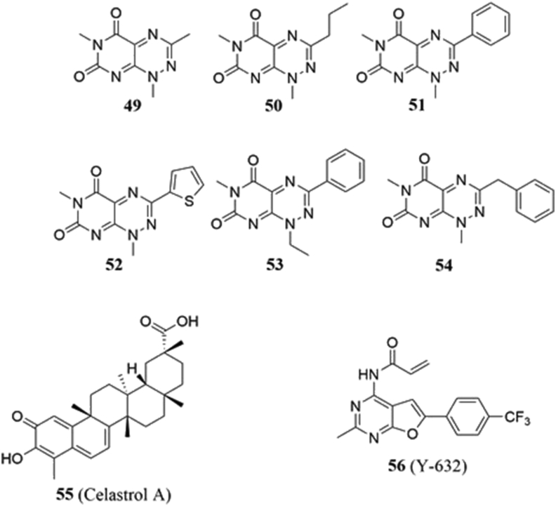 Fig. 10