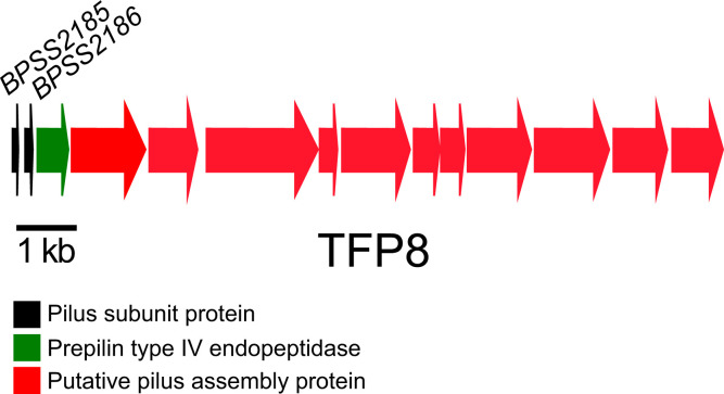 Fig. 1.