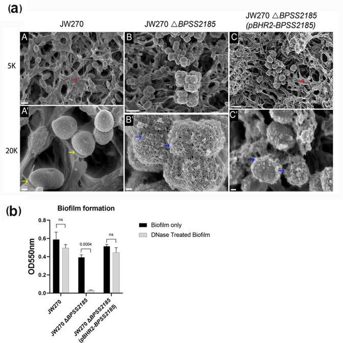 Fig. 4.