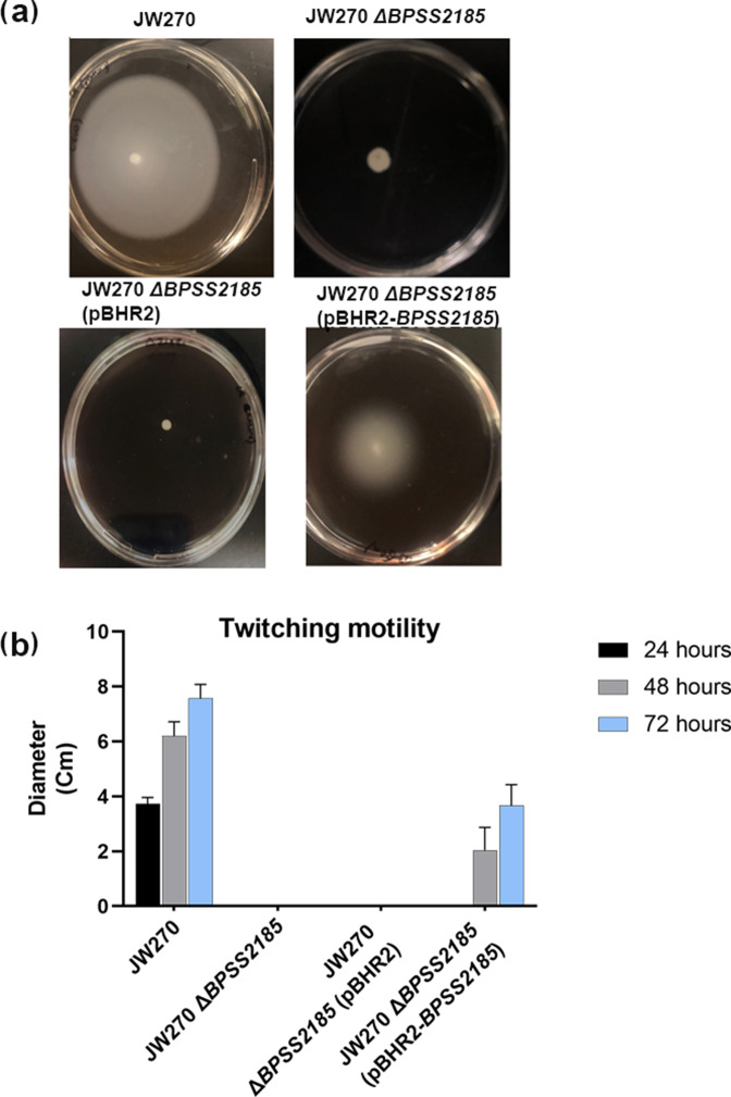 Fig. 3.