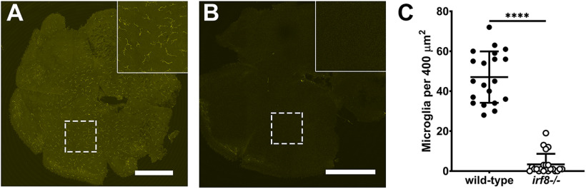 Figure 10.