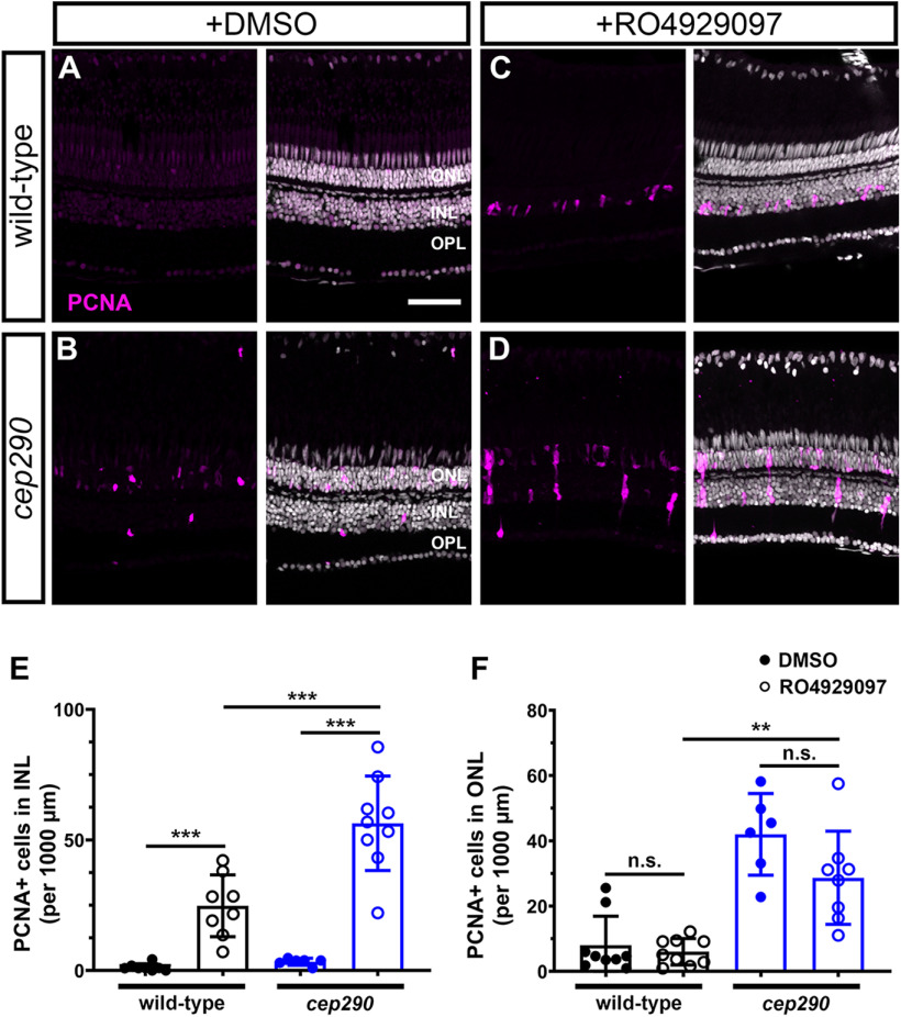 Figure 12.