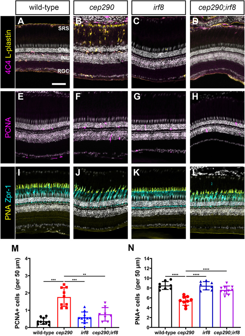 Figure 11.