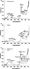 Fig. 10