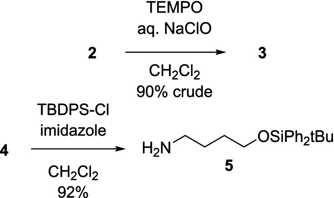 Scheme 2