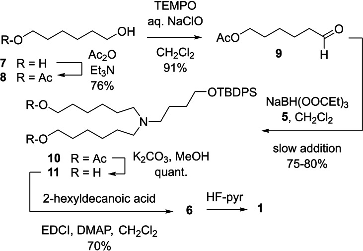 Scheme 4