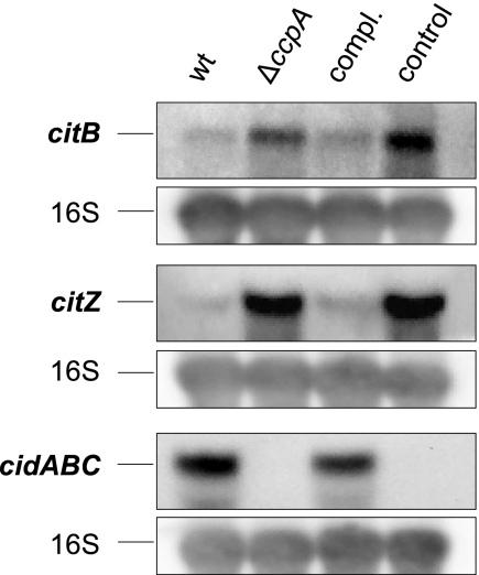 FIG. 5.