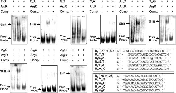 FIG. 4.