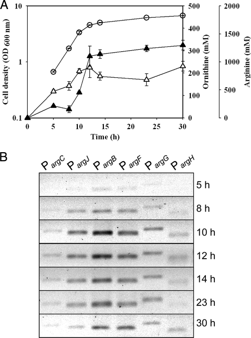 FIG. 5.