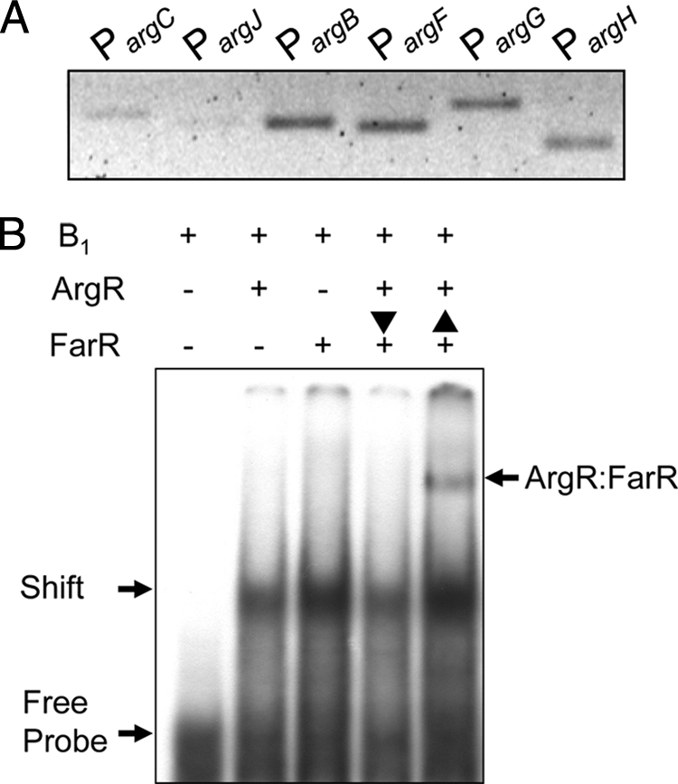 FIG. 7.