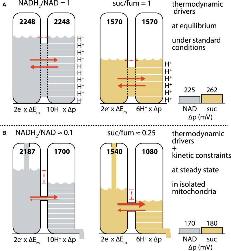 Figure 1.