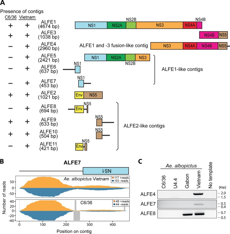 FIG 6