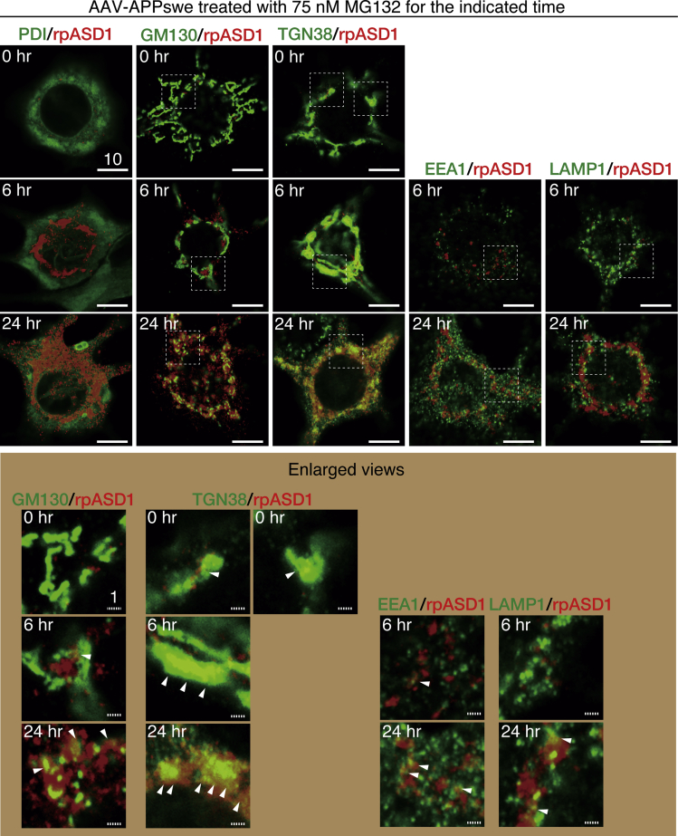 Figure 6