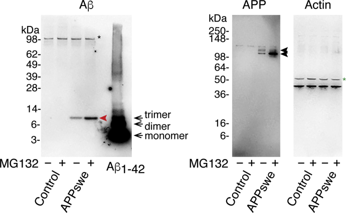 Figure 3