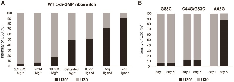 Figure 6.