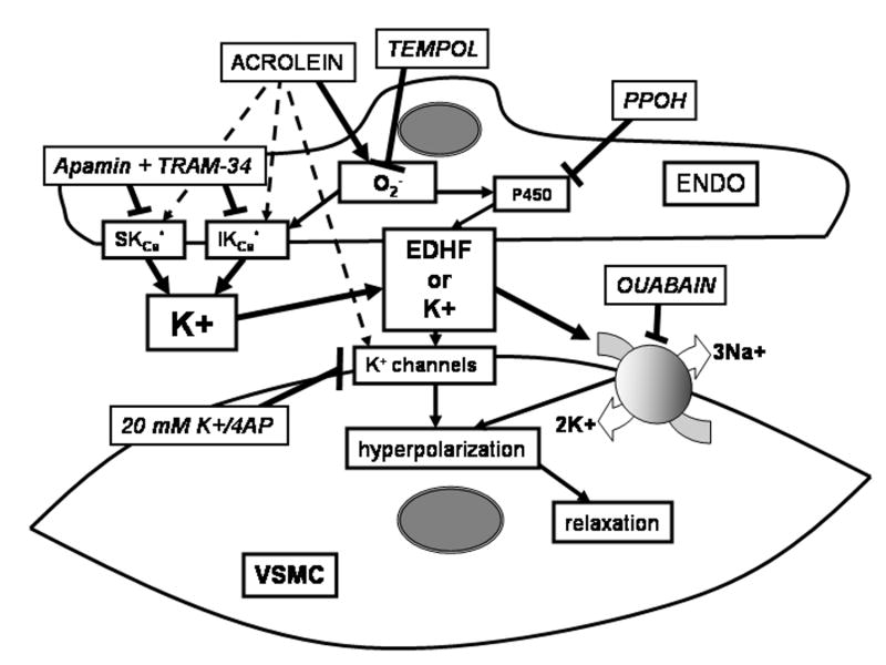 Fig. 7