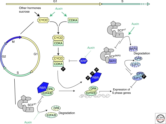 Figure 2.